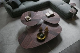 Cattelan Italia_Coffee table_ADRIAN Wood Cattelan Italia - Coffee table ADRIAN Wood