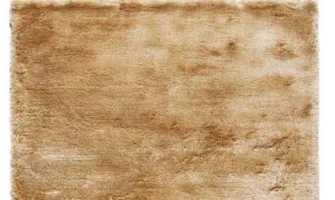 Aster Beige 140x200 OUTLET näidisvaibad -Aster Beige 140x200