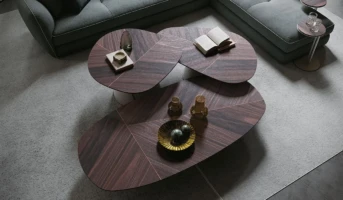 Cattelan - Adrian wood Modernses stiilis diivanilauad, Coffee tables Cattelan Italia - Adrian wood