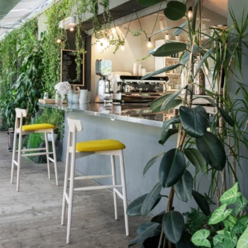 Baaritoolid - Bar stools - Miniforms - Claretta