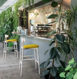 Baaritoolid - Bar stools - Miniforms - Claretta