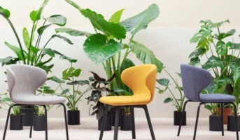Toolid - Chairs - Miniforms - Mula
