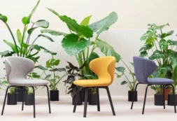 miniforms_1_mula Toolid - Chairs Toolid - Chairs - Miniforms - Mula