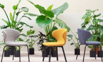 Toolid - Chairs - Miniforms - Mula