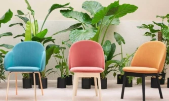 Toolid - Chairs - Miniforms - Iola